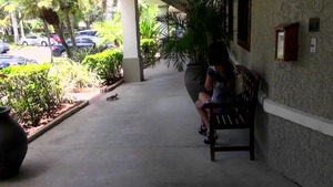 8thStreetLatinas - JMac with Adrianna blowjob cum outdoors