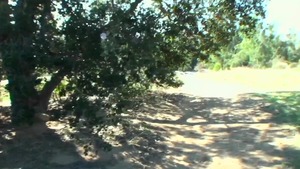 StreetBlowjobs: European Brooke Whispers is petite blonde hair