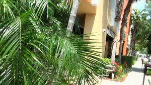 8th Street Latinas - Bald Mia Pearl masturbation in high heels