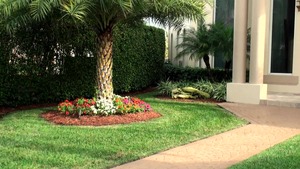 MILF Hunter - Emerg with bald blonde Gianna Phoenix