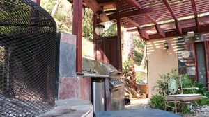 ShesGonnaSquirt.com - Very small tits Jayden Lee ass fingering